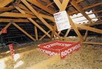 /album/isolation/a0-0-0-0-194-132-csupload-62602206-large-jpg/